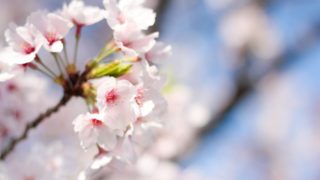 入学準備はこどもちゃれんじで決まり！1年生準備スタートボックスをご紹介